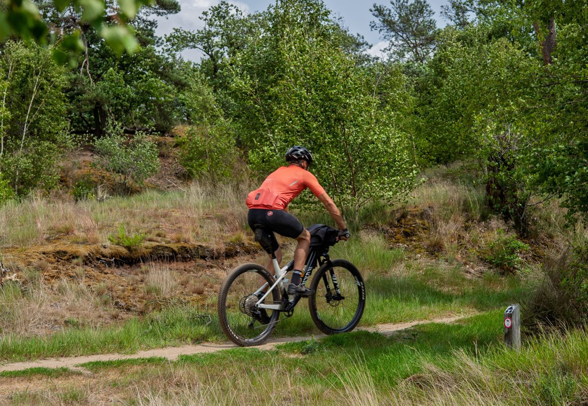 MTB en el bosque