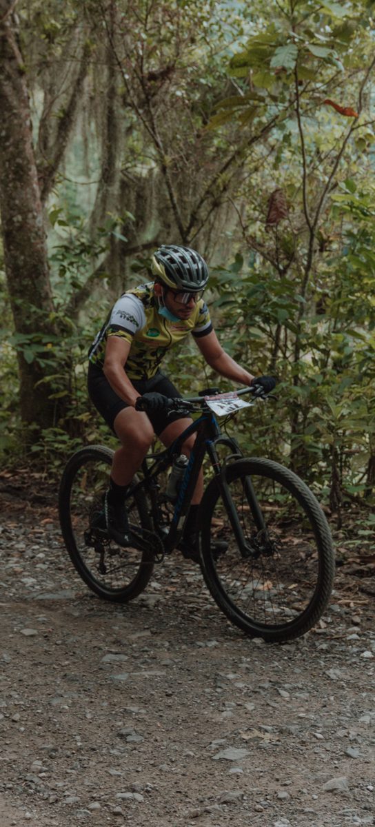 Travesía en la selva