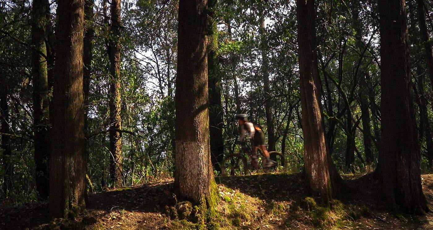 Bicicleta de montaña